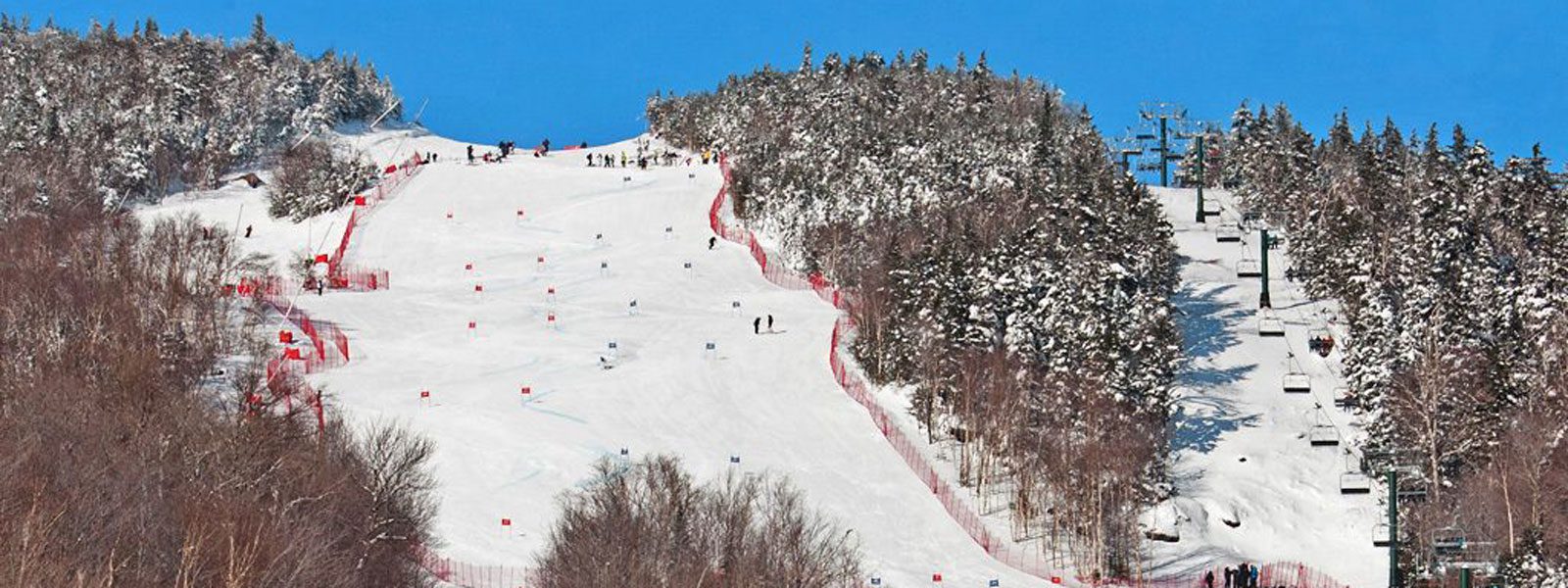 www.skiracing.com